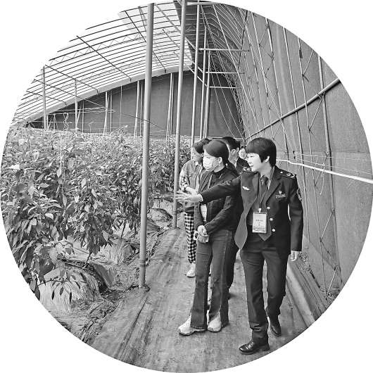 体验"从农田到餐桌"食品安全全流程