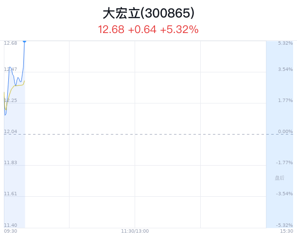 大宏立股价大幅上涨 获主力净流出25万元