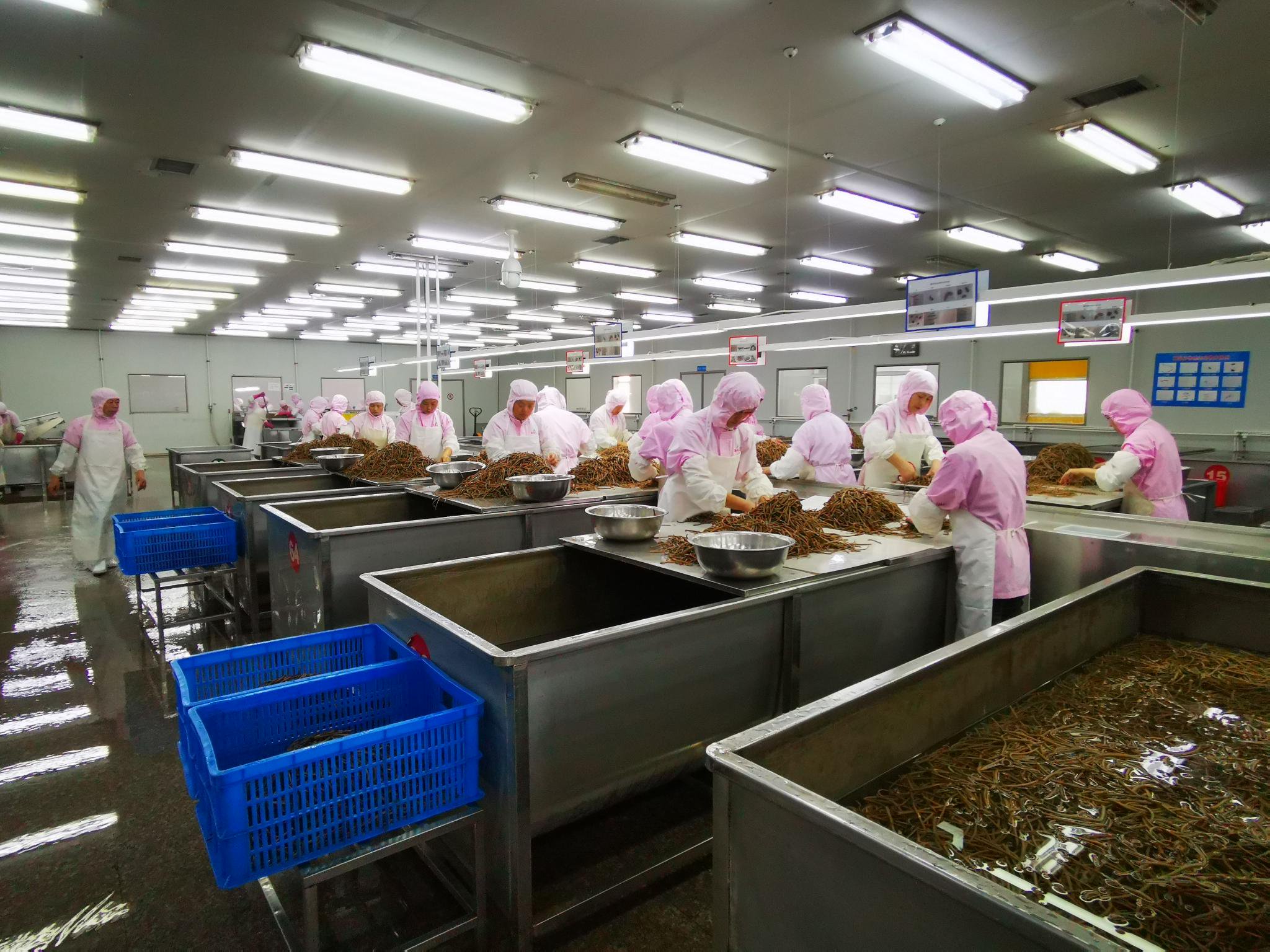 舒城圣桂食品有限公司生产加工现场创新探索,不负众望,成长的路上圣桂