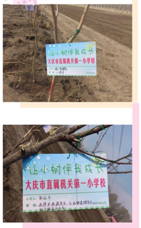 晓一叶之理,种一树美好!机关一小举行师生共育公益林活动