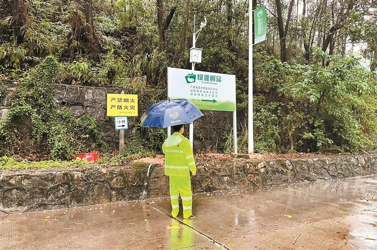 轰隆隆的雷雨声在我的窗前 终究难舍蓝蓝的白云天
