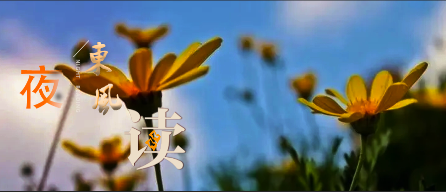 【夜读 · 散文】追随内心,爱你所爱|结婚证_新浪财经_新浪网