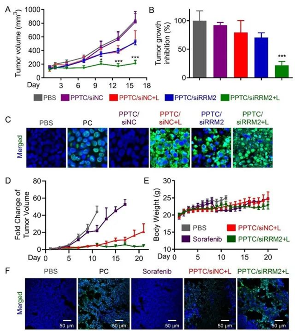 小核酸联合疗法:千亿慢病市场的下一站