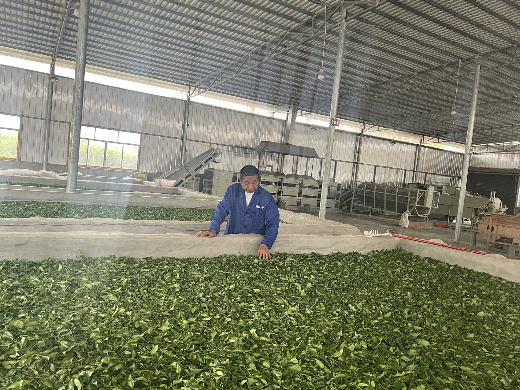 春天观"茶"室·茶业强省建设十年丨"国字号"集群