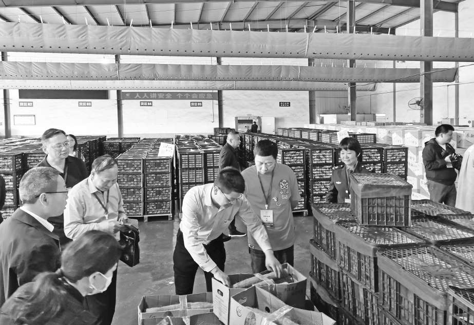 体验"从农田到餐桌"食品安全全流程