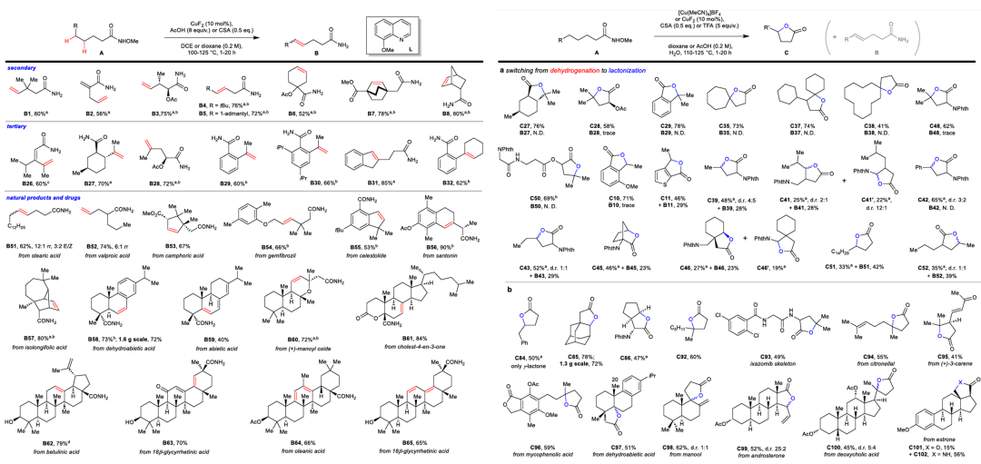 plausible mechanismsummaryandcommentsinconclusion,prof.