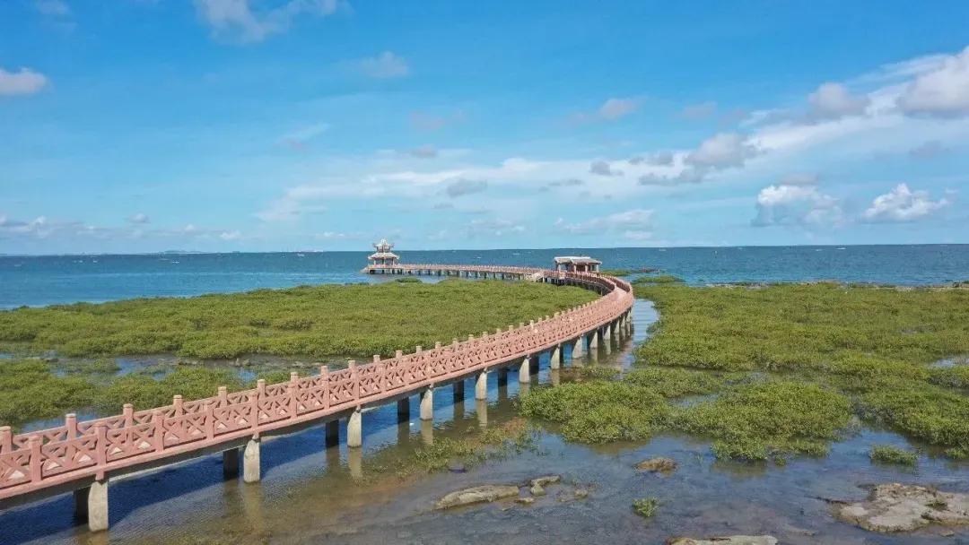 4月26日!我们去防城港,赴一场浪漫的嘉年华