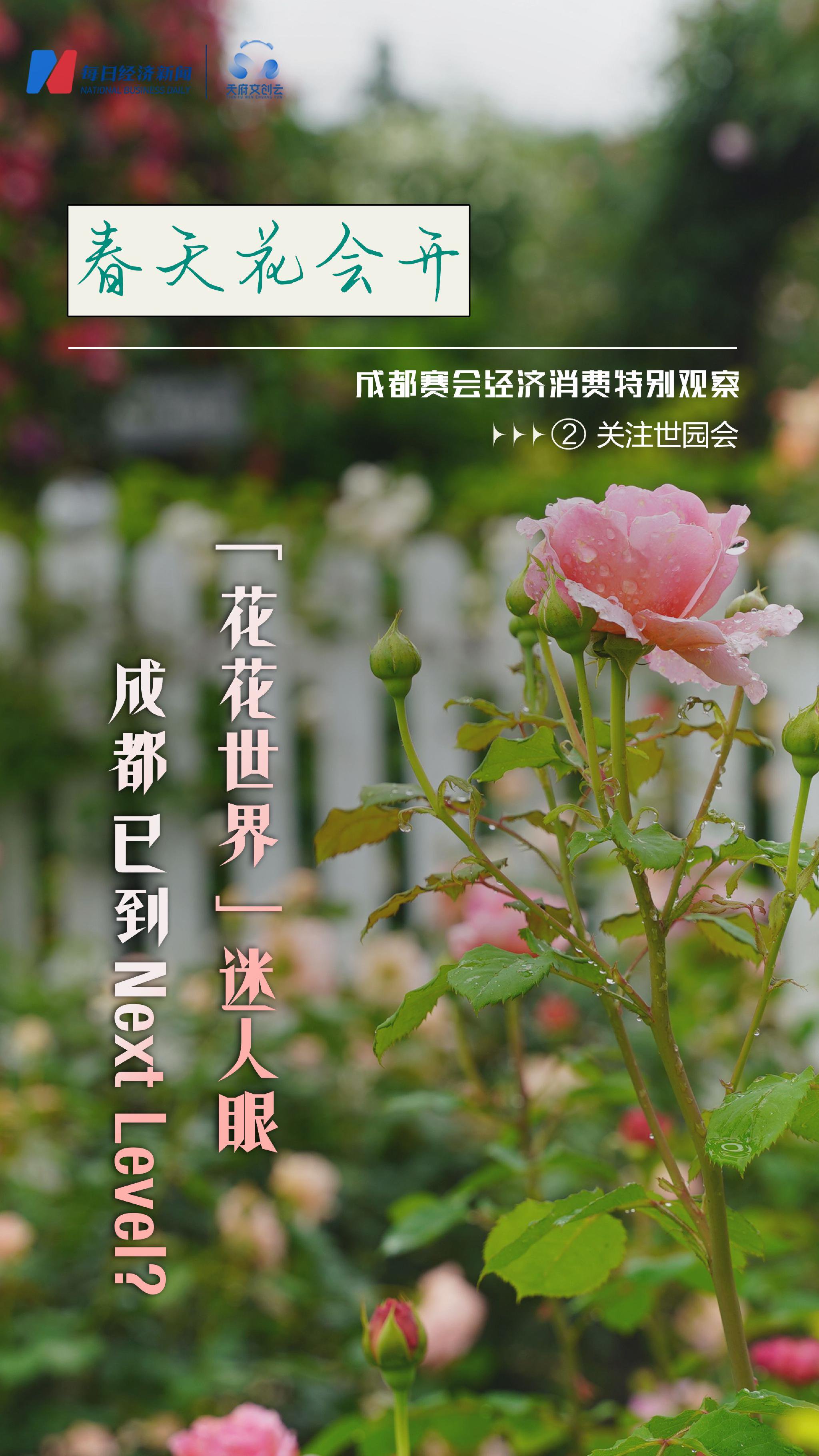 从花店到花园,看成都"园艺人"如何演绎春日浪漫