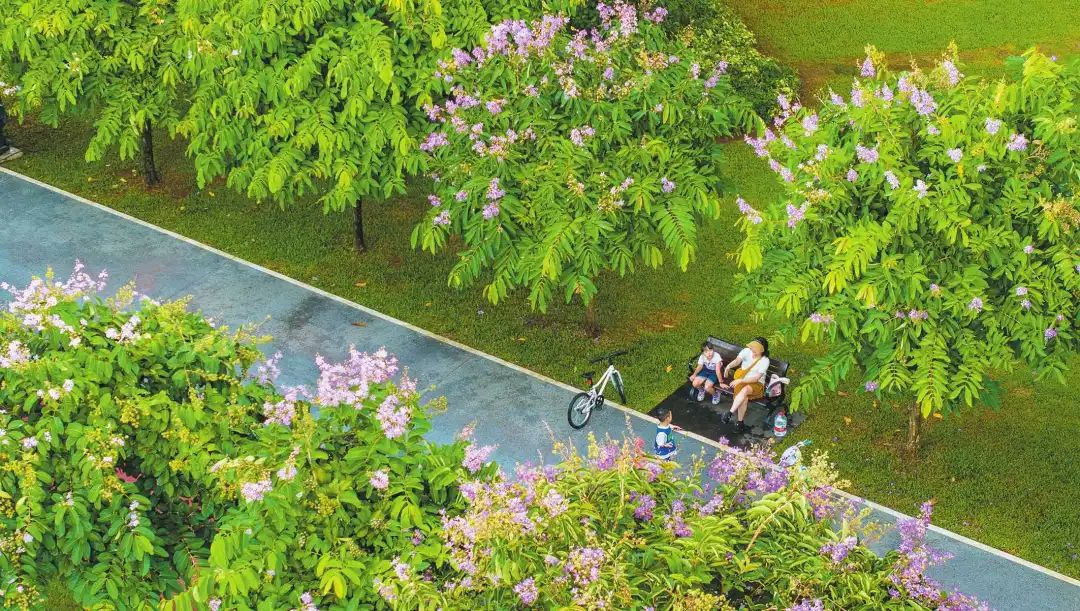 世界读书日丨一千个文人墨客笔下,有一千种海南