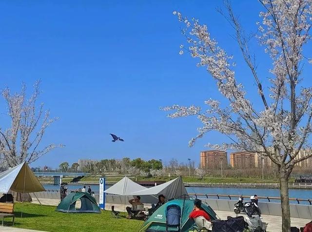春日"沪"水游丨奉贤:走啊,去郊游啊!漫步在十字水街
