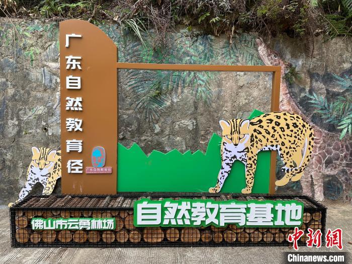 佛山市云勇林场设立的广东自然教育径标识。广东省林业局 供图