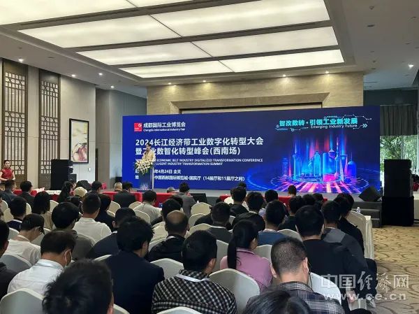 2024 长江经济带工业数字化转型大会暨工业数智化转型峰会 王跃跃 摄