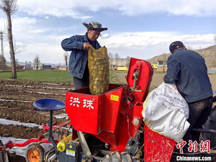 图为刘建荣正在种植马铃薯。俞惠珍摄