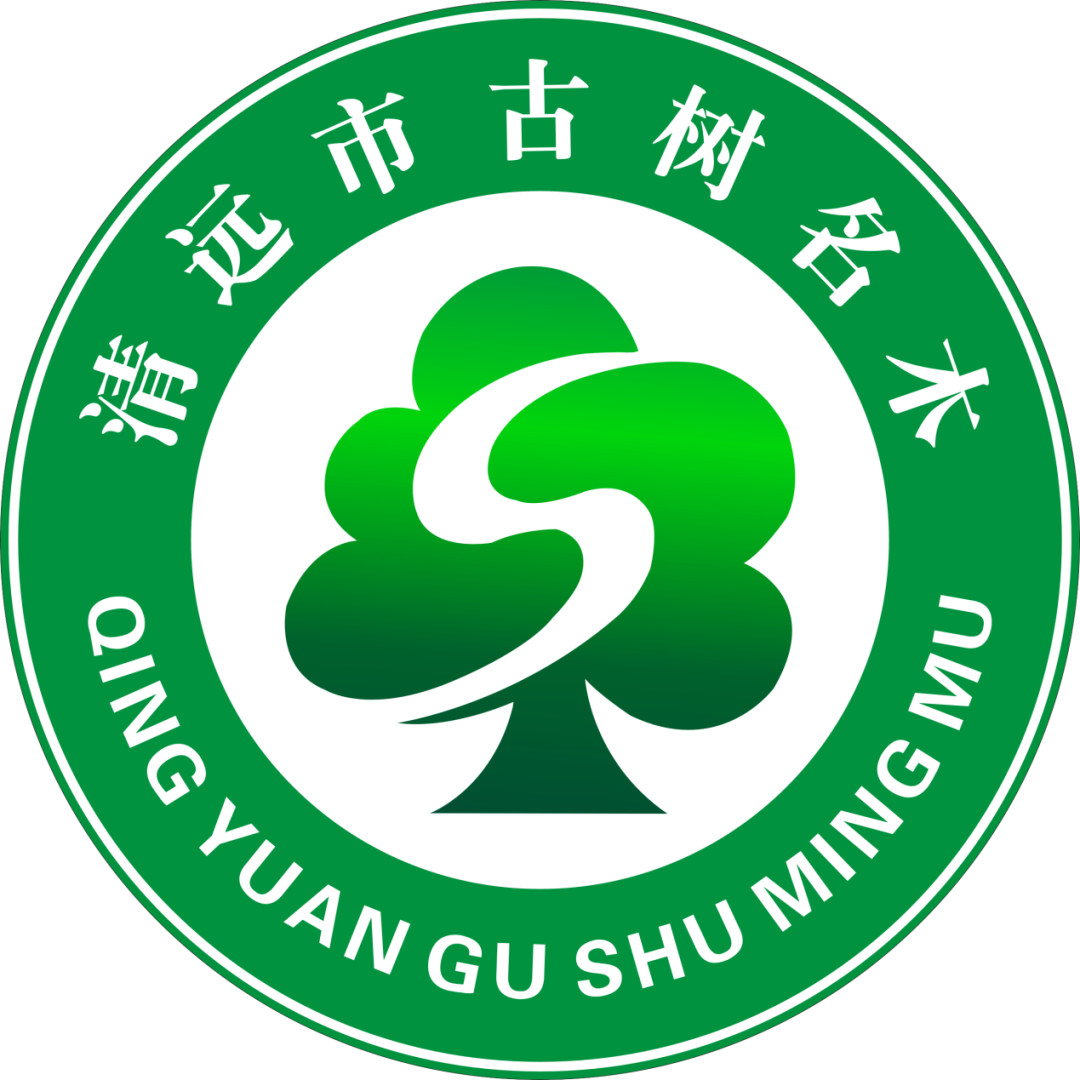 清远古树认养logo选哪个?由你来决定