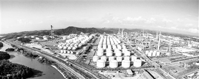 广西自贸试验区钦州港片区打造的化工新材料产业集群。受访者供图