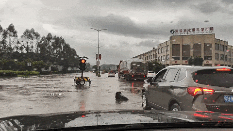 肇庆4月雨量破纪录,新一轮强降雨要来啦