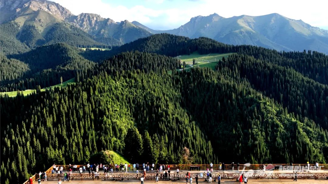 游客在江布拉克景区游玩(资料图片).王志清摄