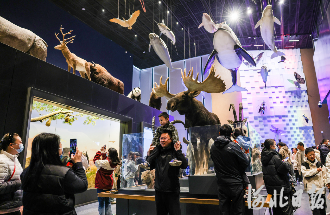 　3月24日，游客在中国古动物馆（保定自然博物馆）内参观游览。 河北日报记者耿辉摄