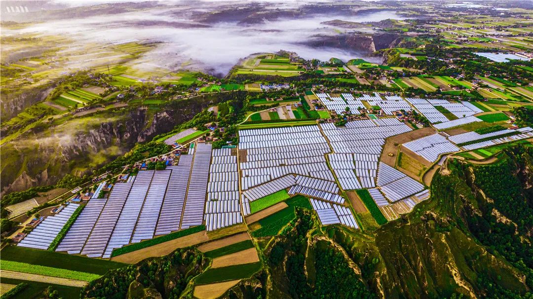 经济新闻滚动>正文> 农虽旧业,其命维新2021年以来庆阳市主动顺应农业