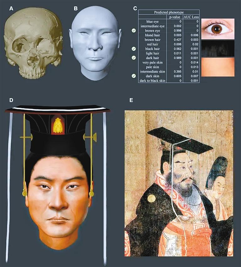 科技考古复原北周武帝面貌特征图