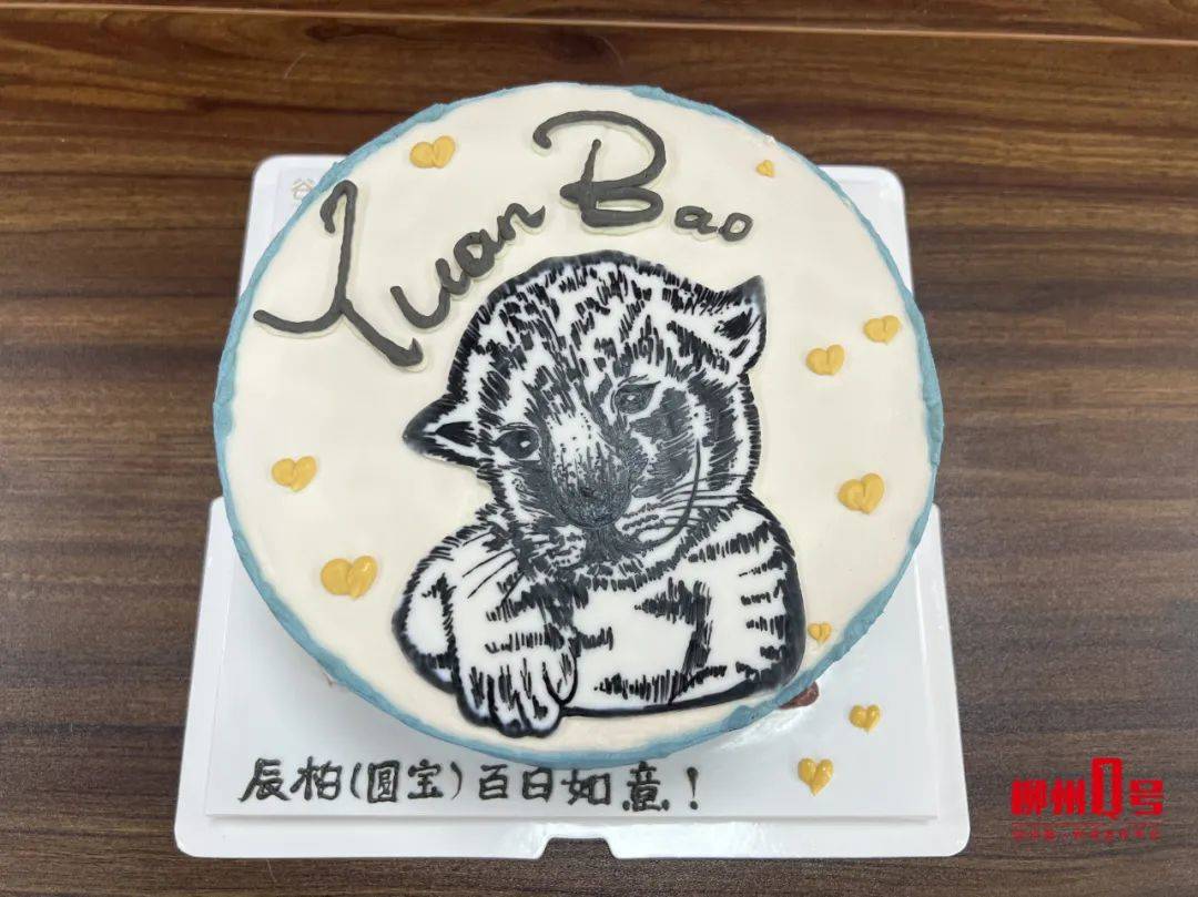 动物园为小狮子准备的百日生日蛋糕.