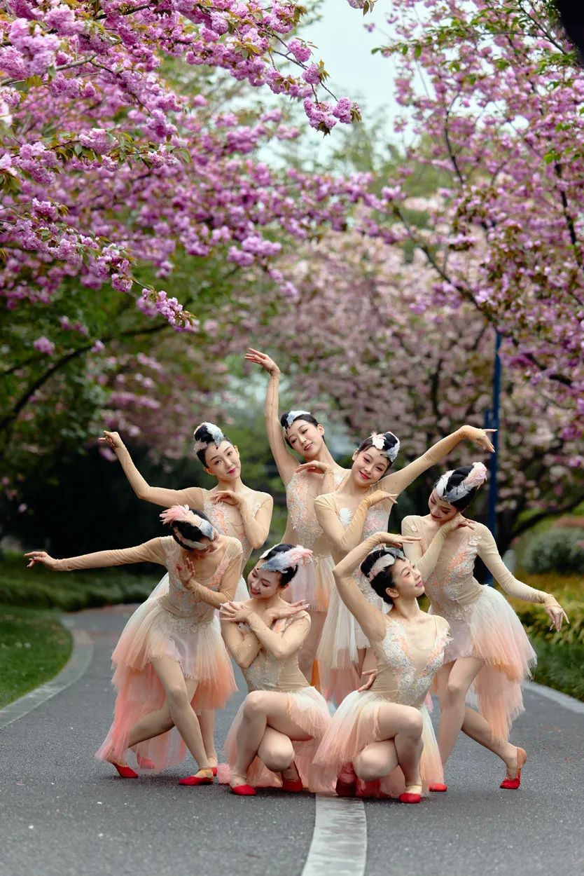 2024年春，舞剧《朱鹮》演员在度假区星愿公园表演。（上海迪士尼供图）