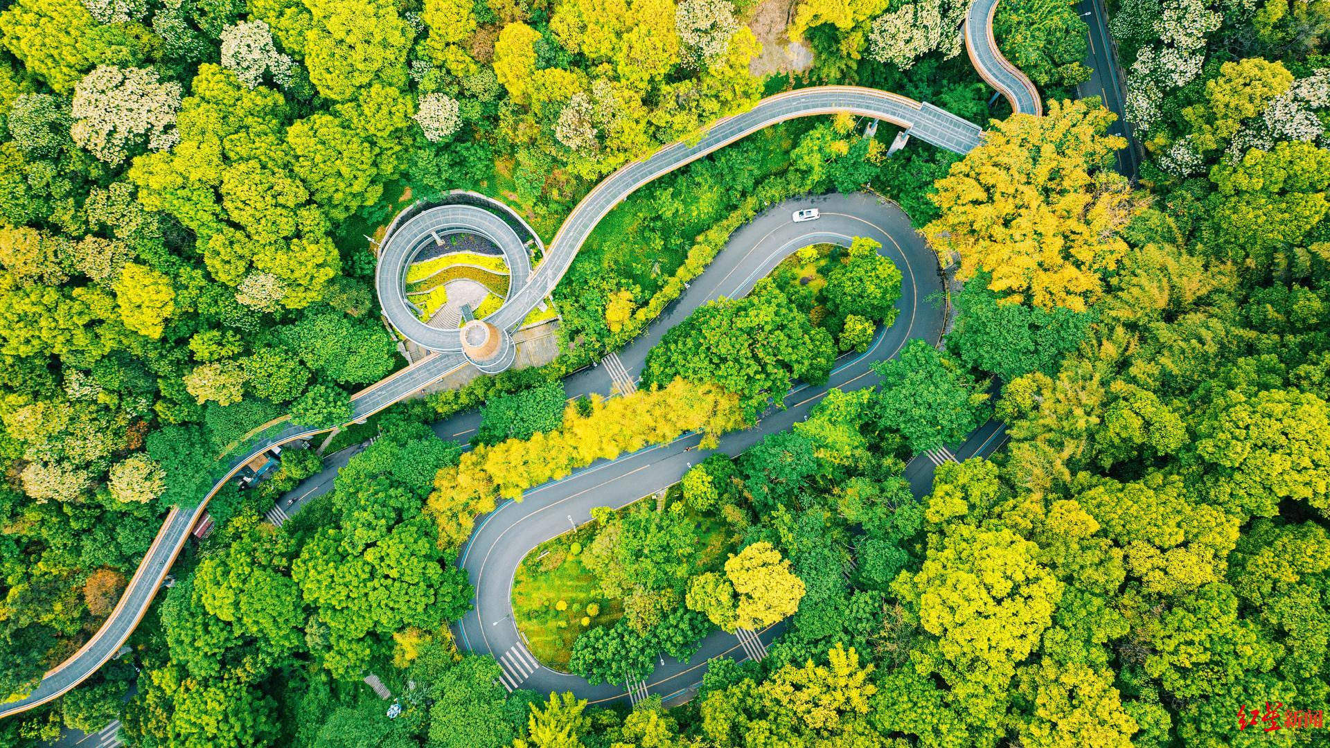 "哪吒行宫"所在翠屏山火了,摄影师航拍感慨犹如"翠皮山"