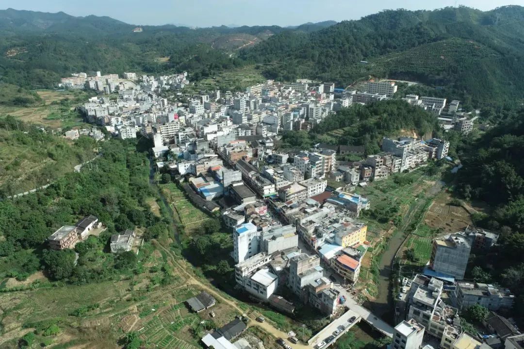 岑溪市诚谏镇镇区全貌 图片来源:岑溪新闻网