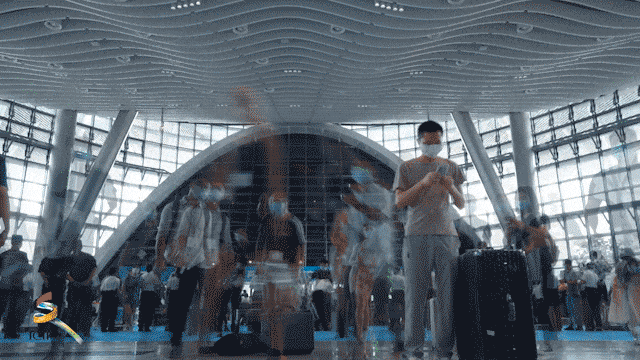 第二十届文博会亮点抢"鲜"看