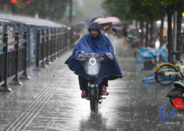 *4月26日早晨，广州市民风雨中骑车赶着出门。图/梁怿韬 摄