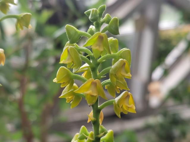 百位稀客齐聚上海,恶劣环境下体重也能超过1吨,还有""