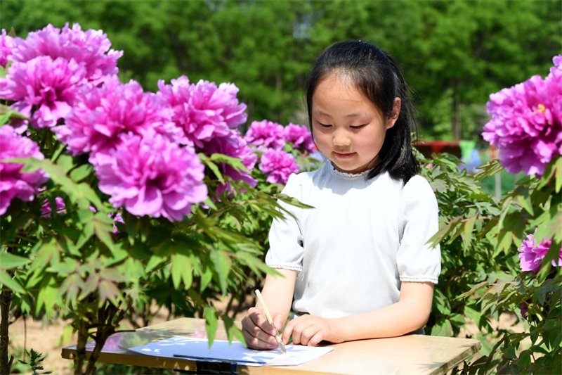 4月26日，小朋友在阜城县牡丹观光园内写生。