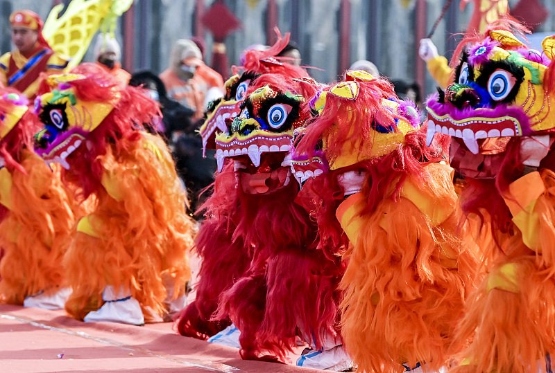 △新疆乌鲁木齐民间社火集中巡游活动的舞狮表演。图源：视觉中国
