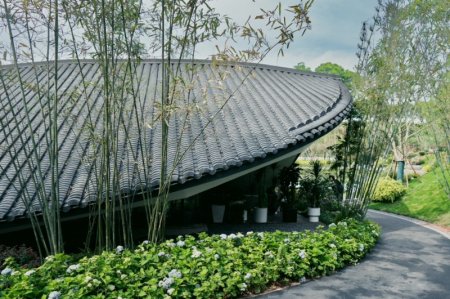 　　游客可近距离观看成都园主体建筑“花居”的坡屋顶。 受访者供图