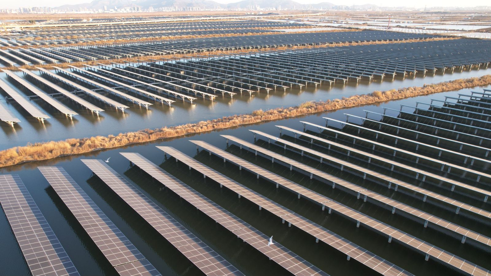 2023年6月28日开工建设,计划2024年6月30日实现全容量投产并网发电