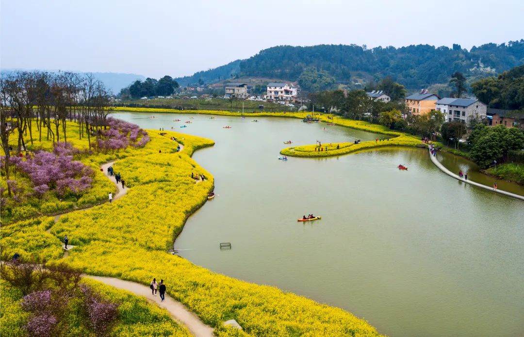 巴南区规划和自然资源局供图对此,重庆市巴南区深化农村集体经营性