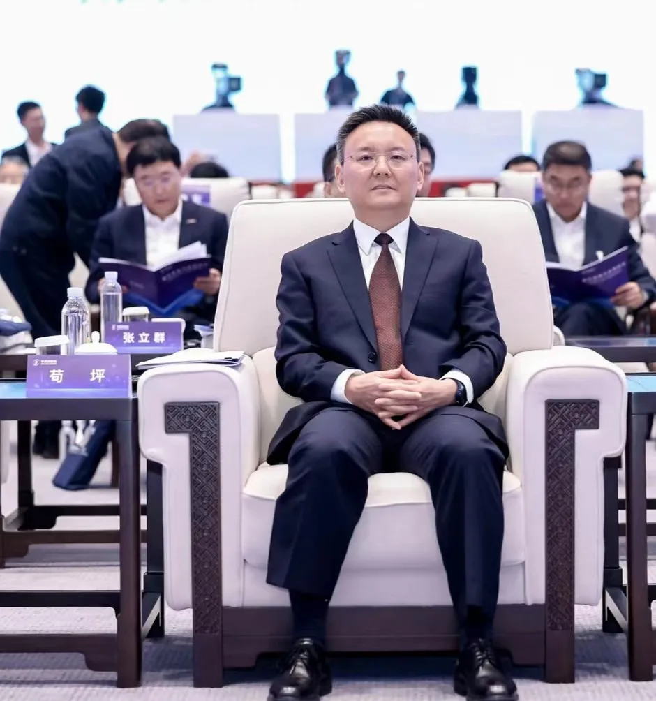 国务院国资委副主任苟坪