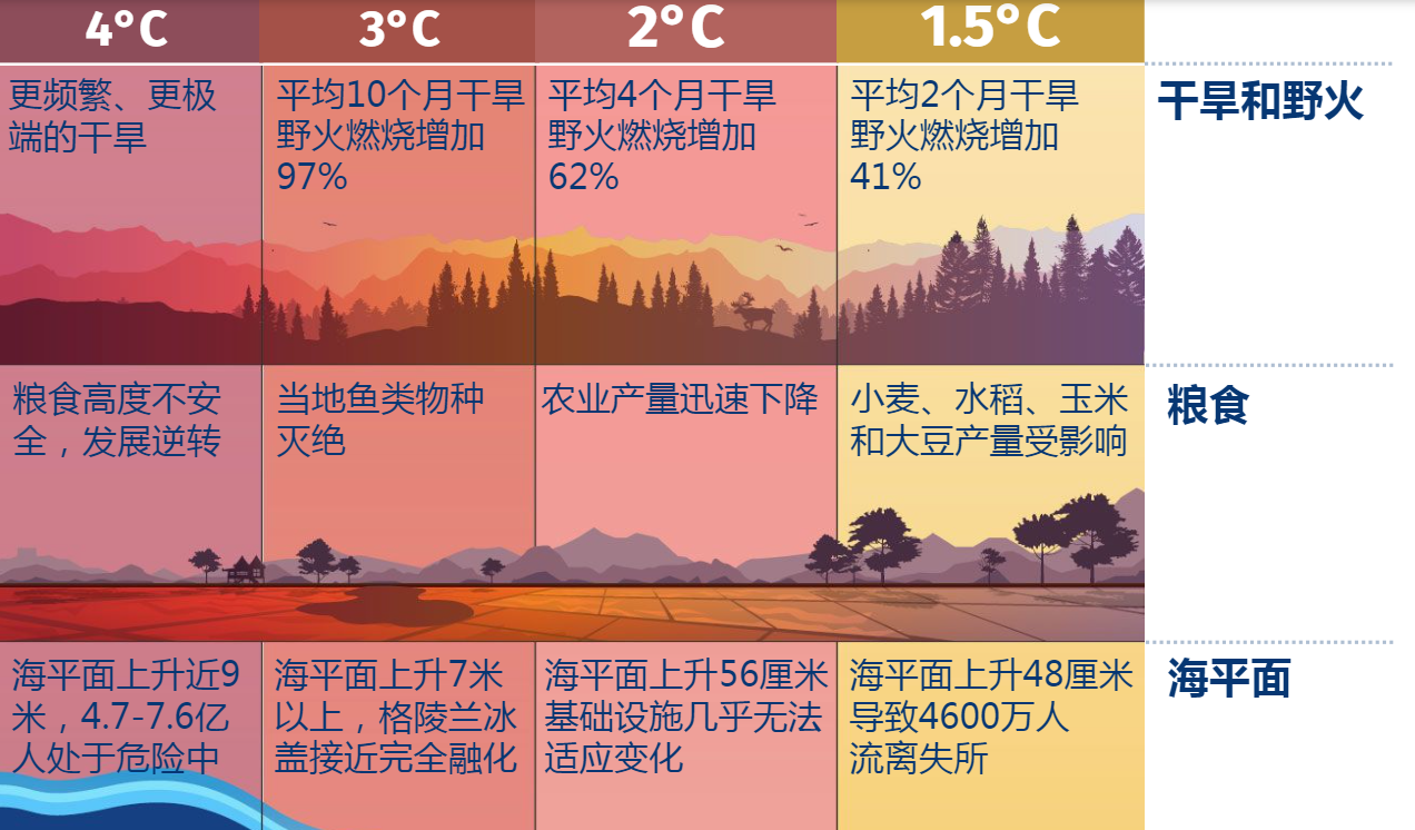 地表温度变化带来的影响（图源：联合国官网）