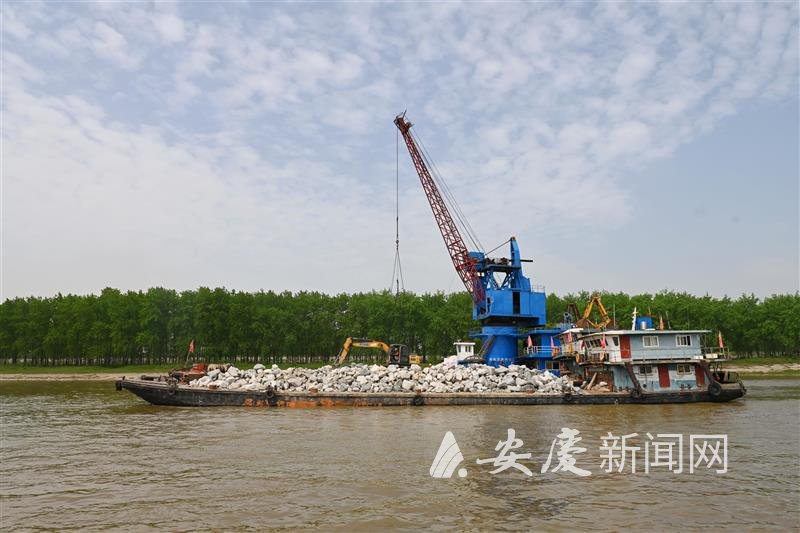 　　4月24日，在六合圩江段，施工船正在紧张施工，不停地将石料抛入江中，加固江堤。 全媒体记者 路欣 通讯员 胡求 摄