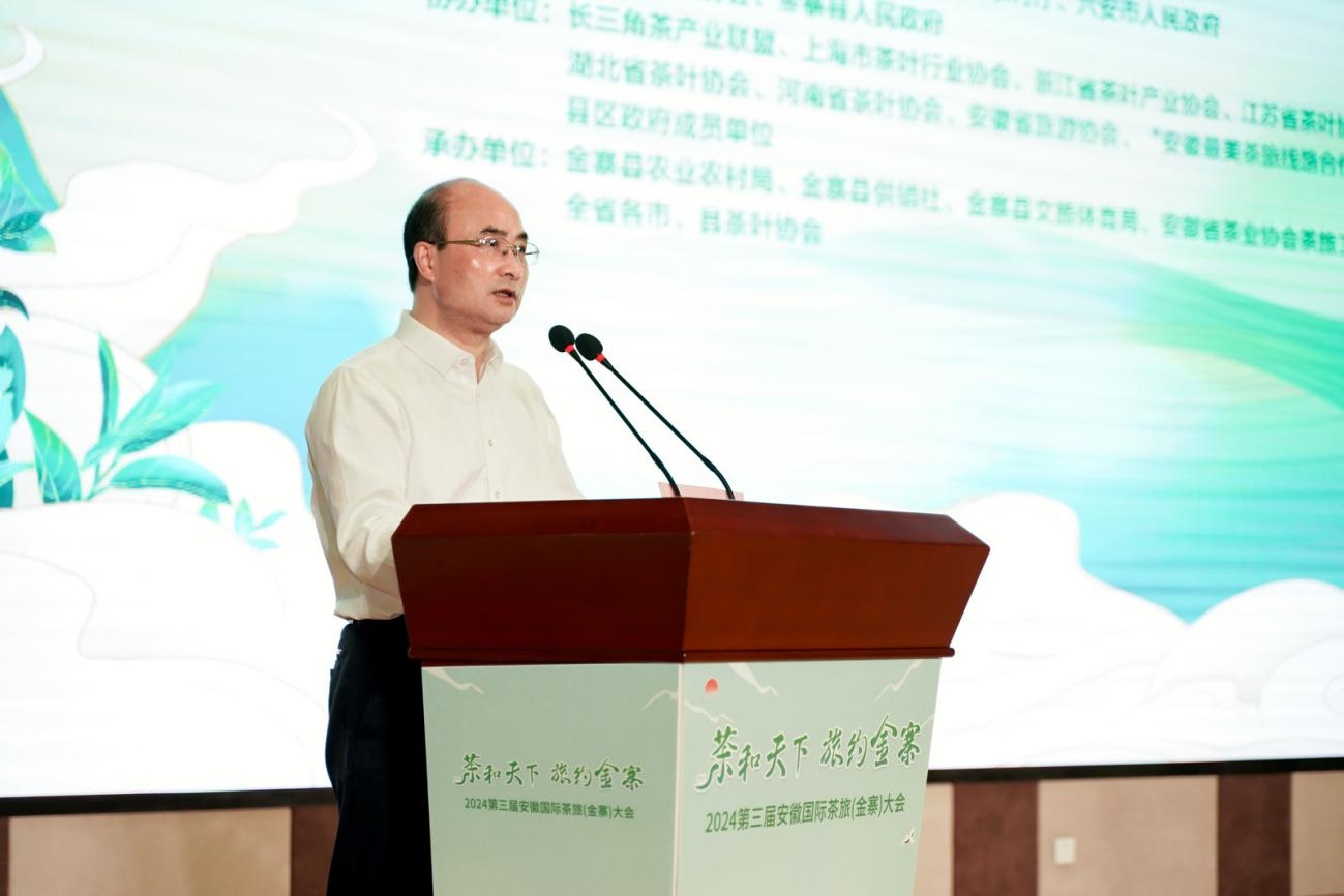 金寨县委副书记,县长张涧致辞