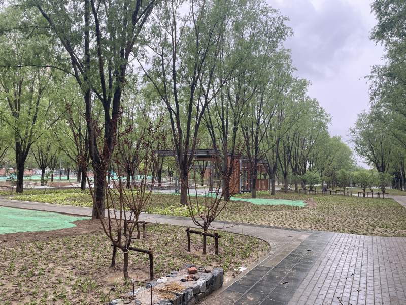 105个项目今年落地回天,涉及积水潭医院回龙观院区,城市公园