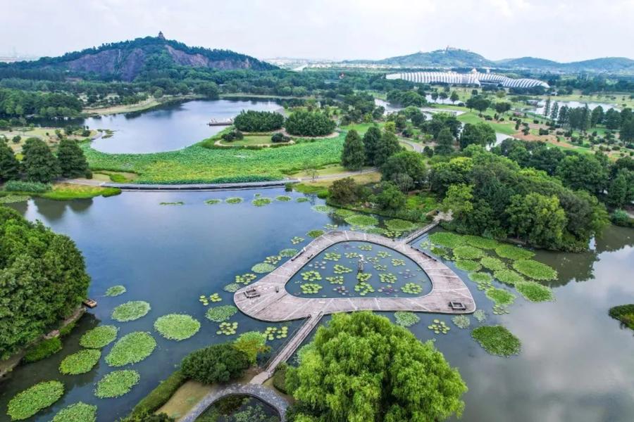 音乐节,美食节,夜生活节,打卡影视热剧拍摄地,松江"五五购物节"启动