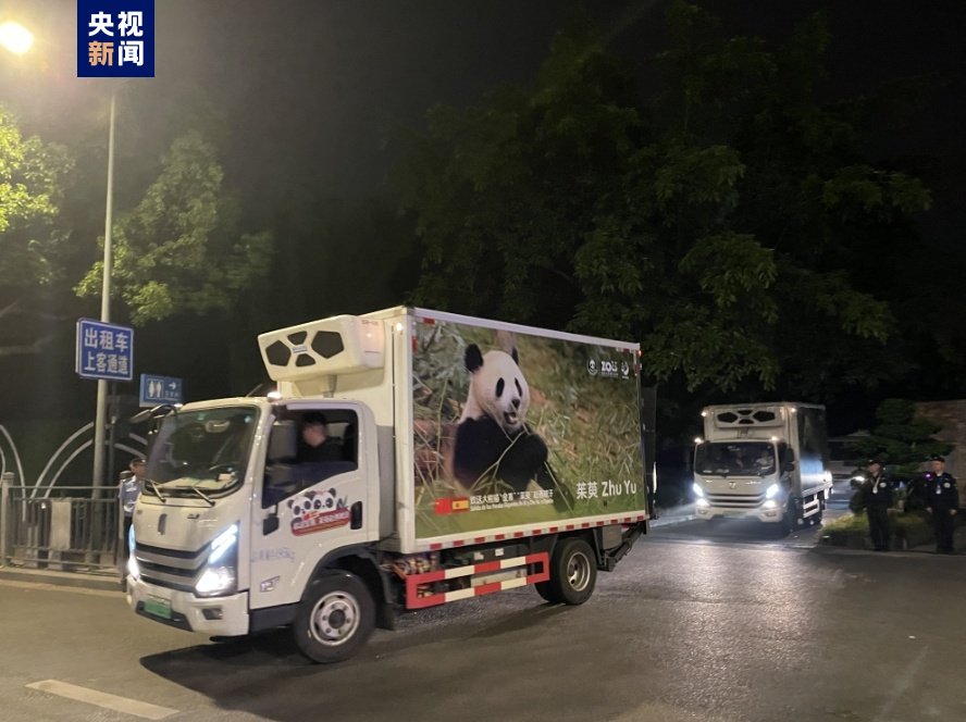 出发马德里动物园!大熊猫"金喜""茱萸"启程赴西班牙