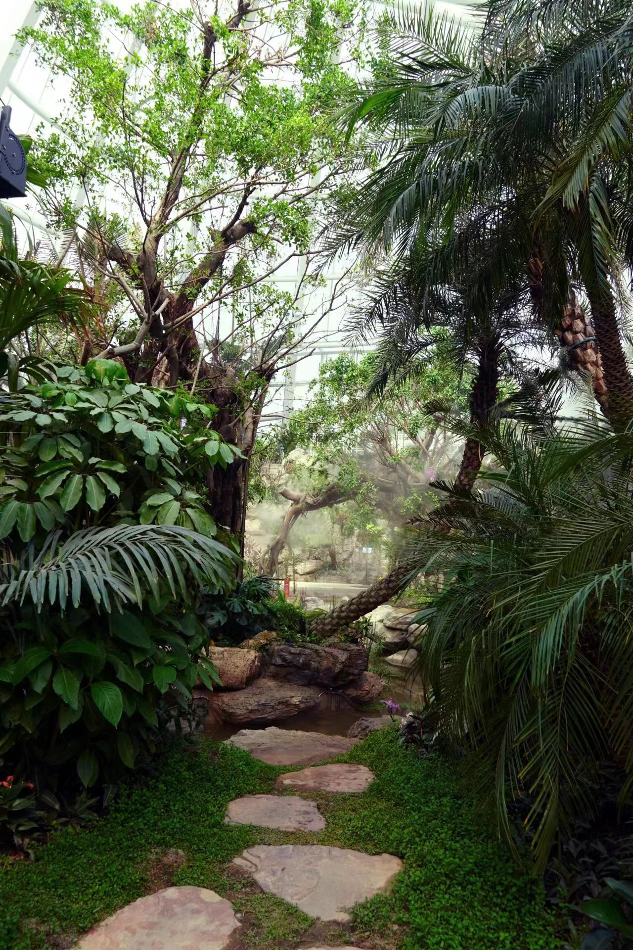 植物馆内部，模拟热带雨林植物自然生境。 受访者供图