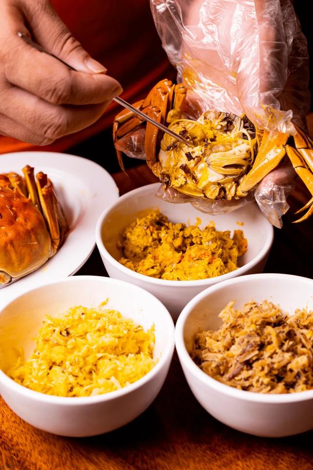 五一假期去哪?嘉定出发,高铁直达,逛吃逛吃