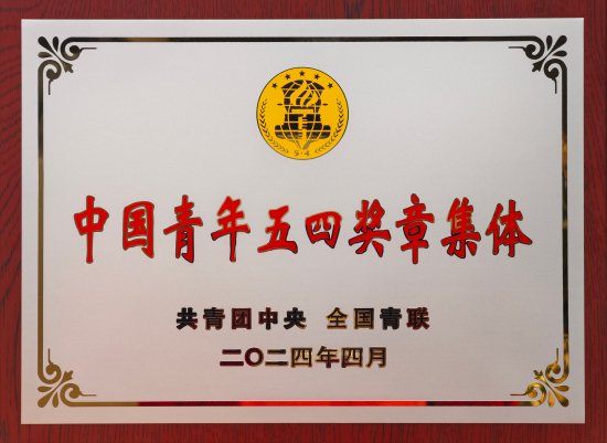 中国青年五四奖章集体奖牌