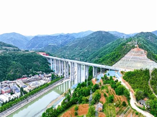 徐家湾洛河大桥最新进展!