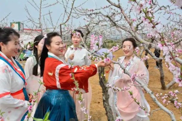 游客在桃花节上赏花、留影。 通讯员 吴宇涛 摄 