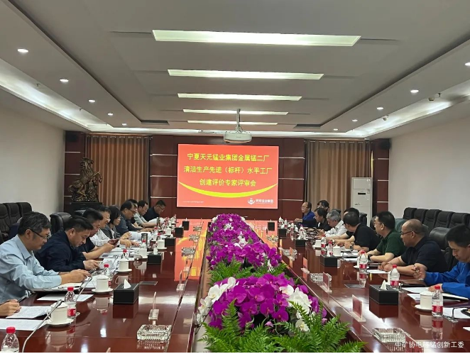 宁夏天元锰业集团有限公司金属锰二厂清洁生产先进(标杆)水平达到一级