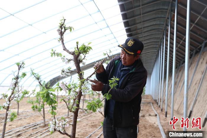 宁夏西吉:新建乡道拓宽村民致富路